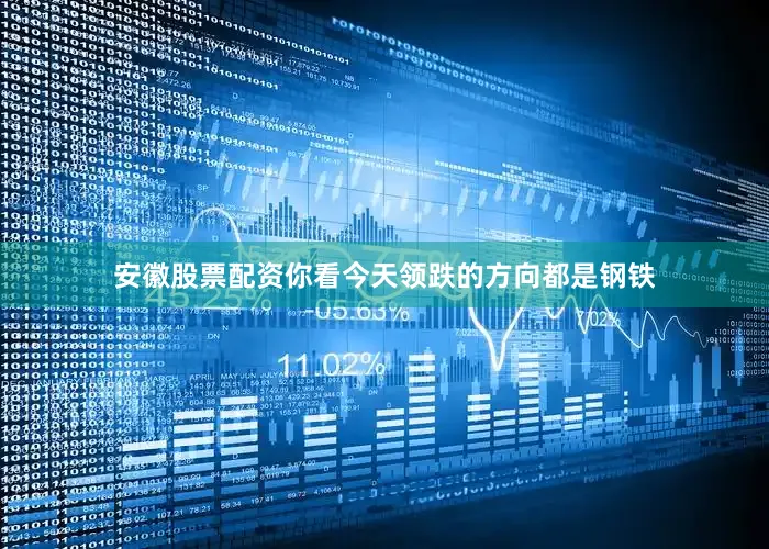 安徽股票配资你看今天领跌的方向都是钢铁